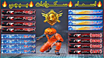 أفضل أسماء ببجي فخمة 2026