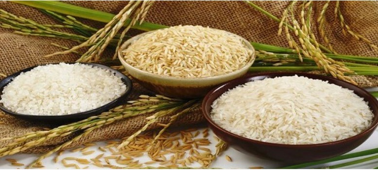 أنيـــهار وتدني سعر طن الأرز الشعير اليوم الاربعاء 10 ديسمبر 2025 في الاسواق