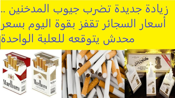 “lm  بكام؟” اسعار السجائر اليوم الخميس 11 ديسمبر 2025 المحلية والمستوردة بعد اخر زيادة