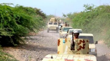 بعد 24 ساعة إحباط هجوم للقاعدة في أبين