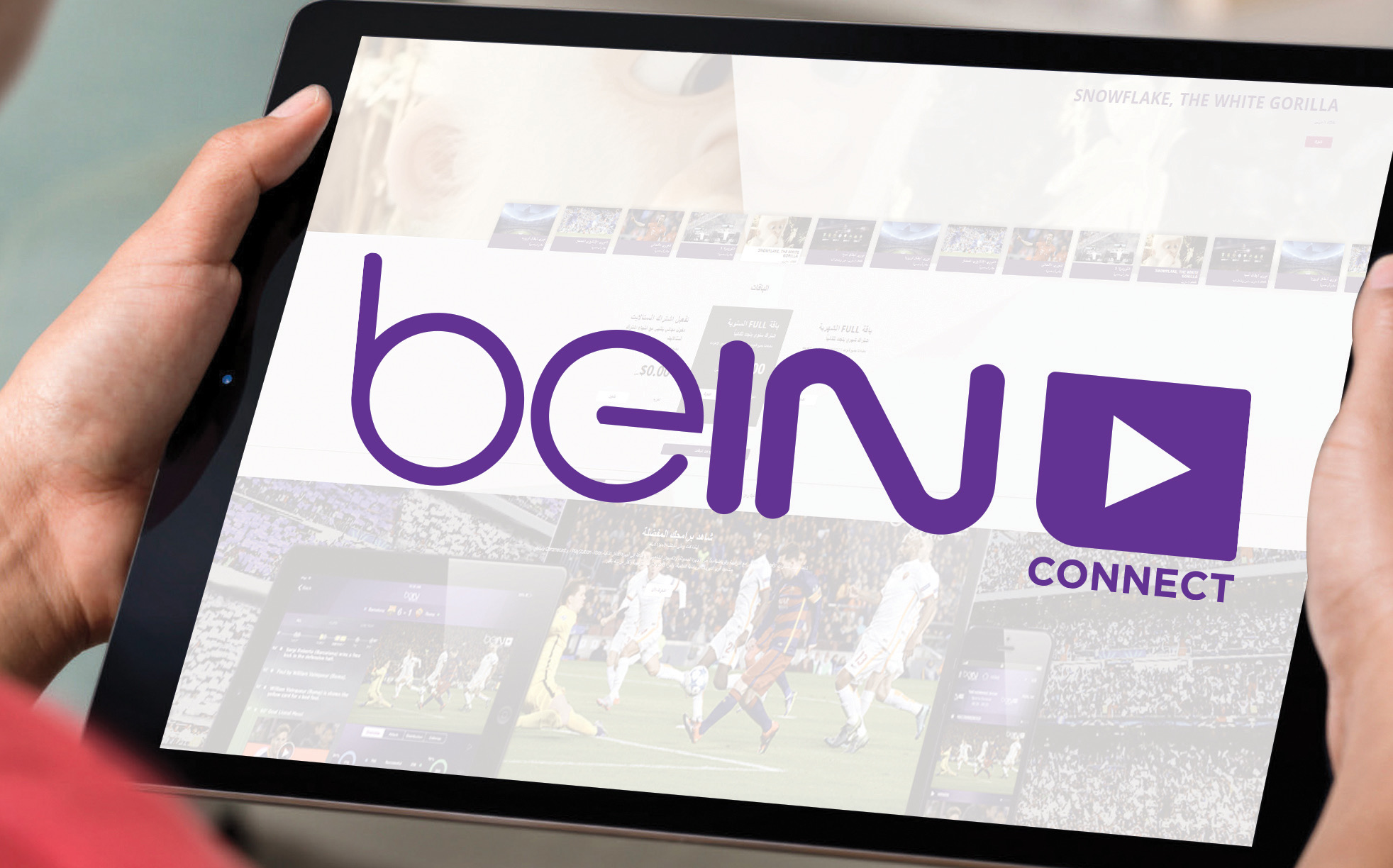 تحميل تطبيق beIN Connect لمتابعة مباريات مصر في كأس أمم أفريقيا 2026 لجميع الأجهزة