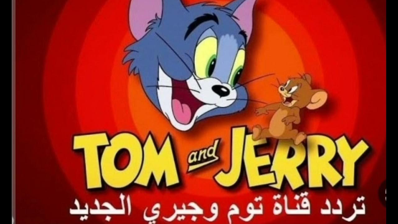 تردد قناة توم وجيري الجديد 2026 Tom and Jerry أحدث تردد لمتابعة أجمل أفلام الكرتون