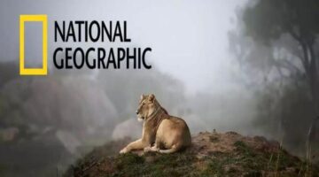 تردد قناة ناشيونال جيوغرافيك 2026