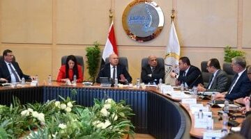 تشكيل لجنة حكومية لدراسة أسباب التشوهات الجمركية وتأثيرها على الصناعة