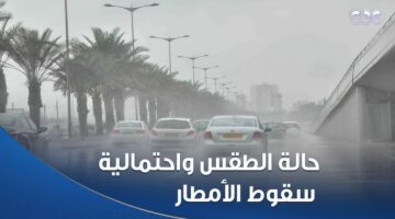 حالة الطقس غدا 3