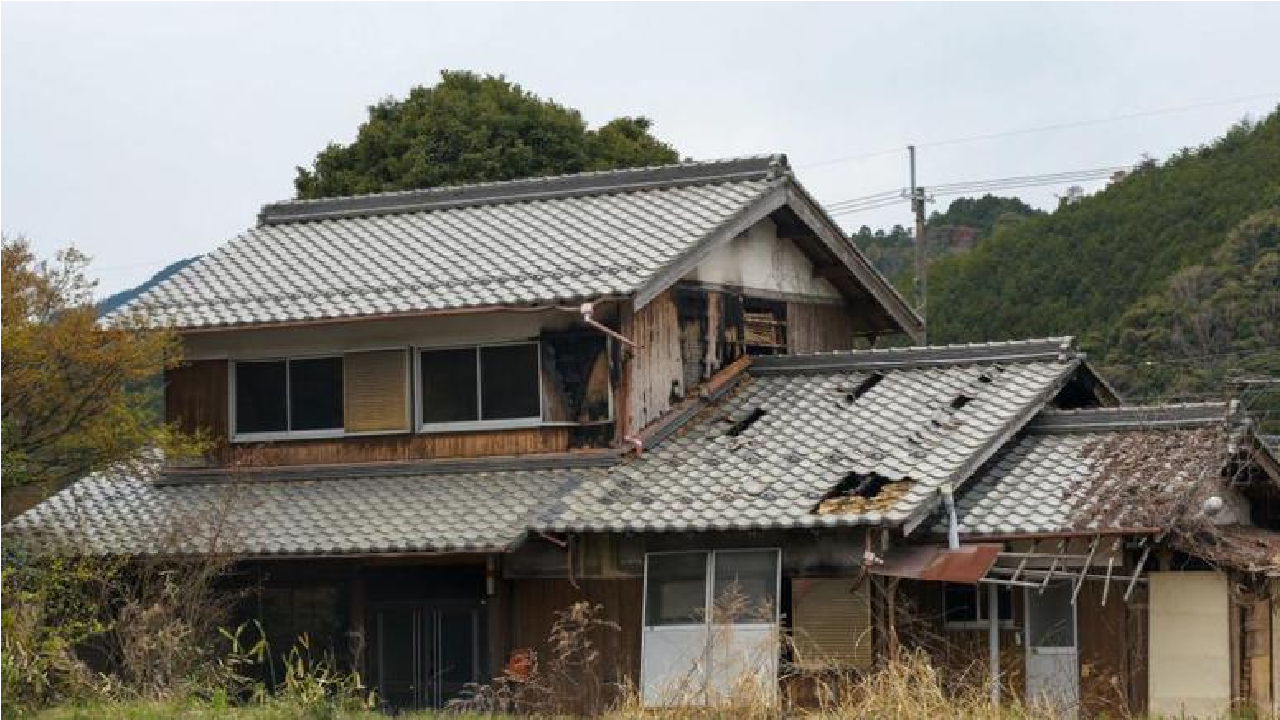 زلزال اليابان 7.5 ريختر.. كيف نجت المباني من كارثة بلا خسائر؟ تفاصيل أذهلت العالم