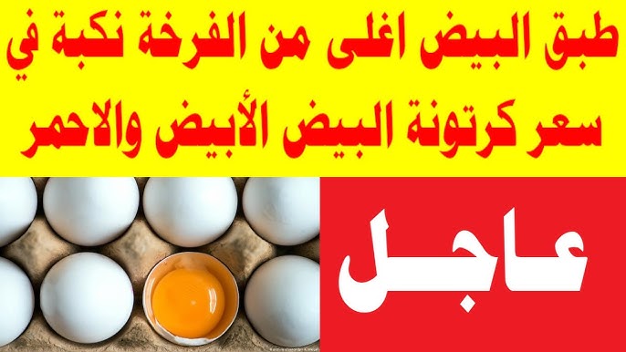 متوسط سعر طبق البيض اليوم الأثنين 15 ديسمبر 2025 في بورصة الدواجن