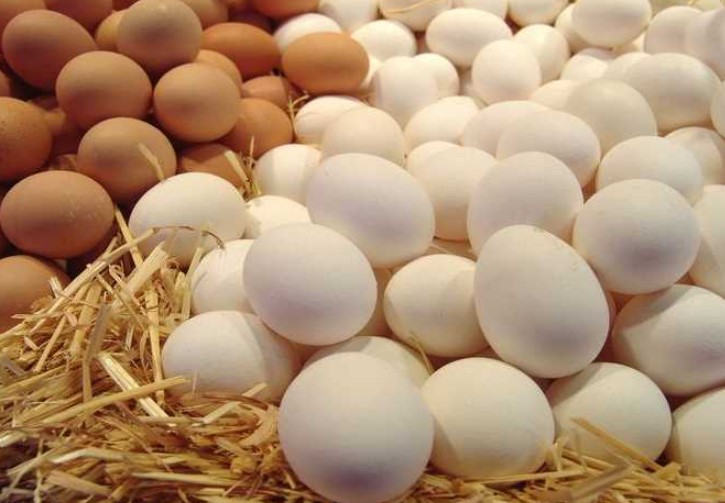 سعر طبق البيض اليوم الثلاثاء 16 ديسمبر 2025 .. آخر تحديثات السوق المصرية وفقا لبورصة الدواجن