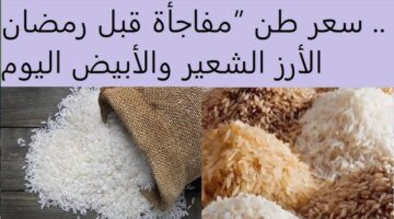 سعر طن الأرز الشعير اليوم 3