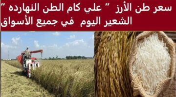 سعر طن الأرز الشعير اليوم 4