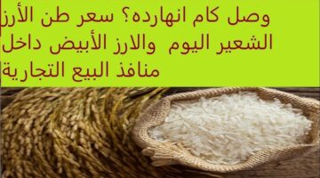 سعر طن الأرز الشعير اليوم 5