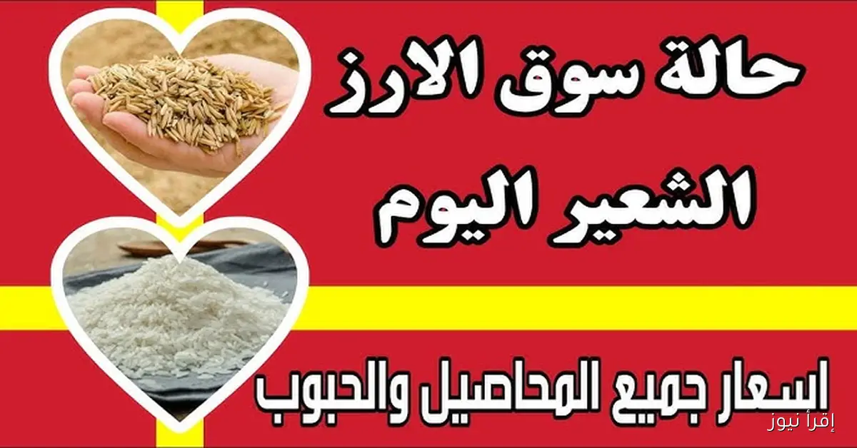&#8221; رفيع وعريض &#8221; سعر طن الأرز الشعير اليوم الثلاثاء 2 ديسمبر 2025 في الأسواق المصرية