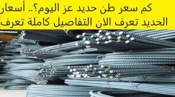 سعر طن الحديد اليوم حديد عز 6