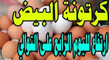 سعر كرتونة البيض اليوم