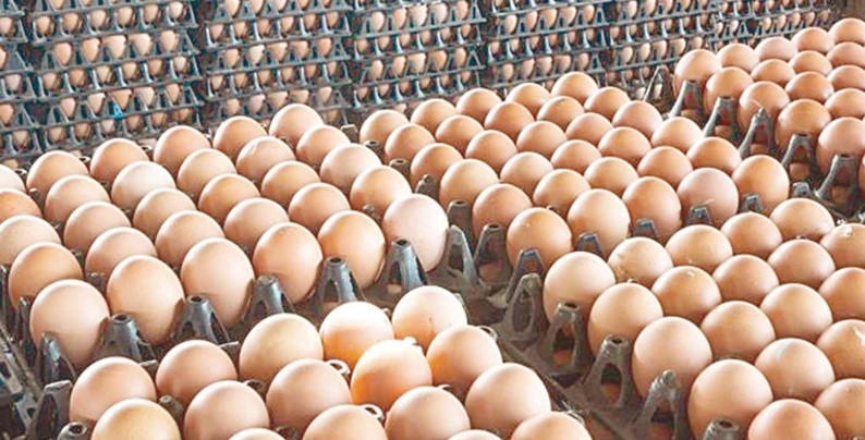 سعر كرتونة البيض اليوم للمستهلك الاثنين 22 ديسمبر 2025 في الأسواق والمحلات التجارية