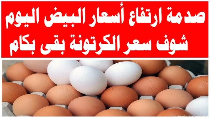 سعر كرتونة البيض في بورصة الدواجن وللمستهلك اليوم الأحد 28 ديسمبر 2025
