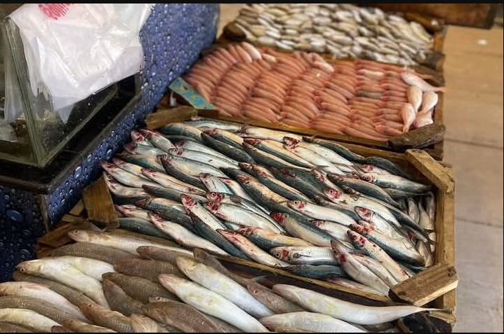 قائمة أسعار السمك اليوم للمستهلك 13 ديسمبر 2025 في الاسواق