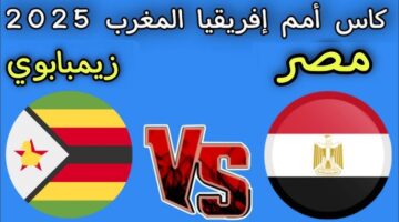 مصر وزيمبابوي