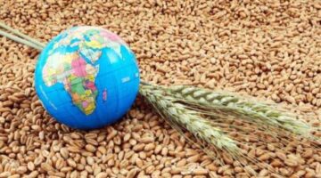 العالم يتجه نحو تخزين الغذاء بعد تراجع الأسواق المفتوحة