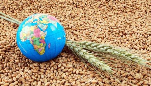 العالم يتجه نحو تخزين الغذاء بعد تراجع الأسواق المفتوحة