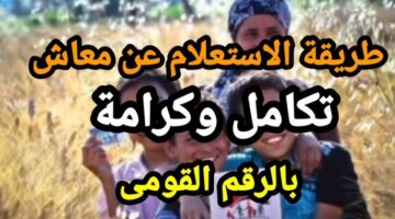 رابط الاستعلام عن معاش تكافل وكرامة 2026