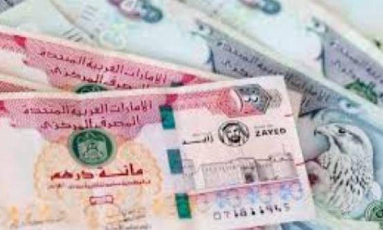 الدرهم الإماراتي