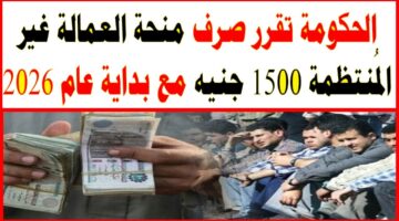 منحه العماله الغير منتظمه 2026